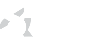 Schneider & Company - I'm unable to provide a description for this image as it appears to be partially cut off and lacks context. it seems you have provided a portion of a logo or graphic, but without the full image, i cannot offer an accurate caption. please provide a complete image for a detailed description.
